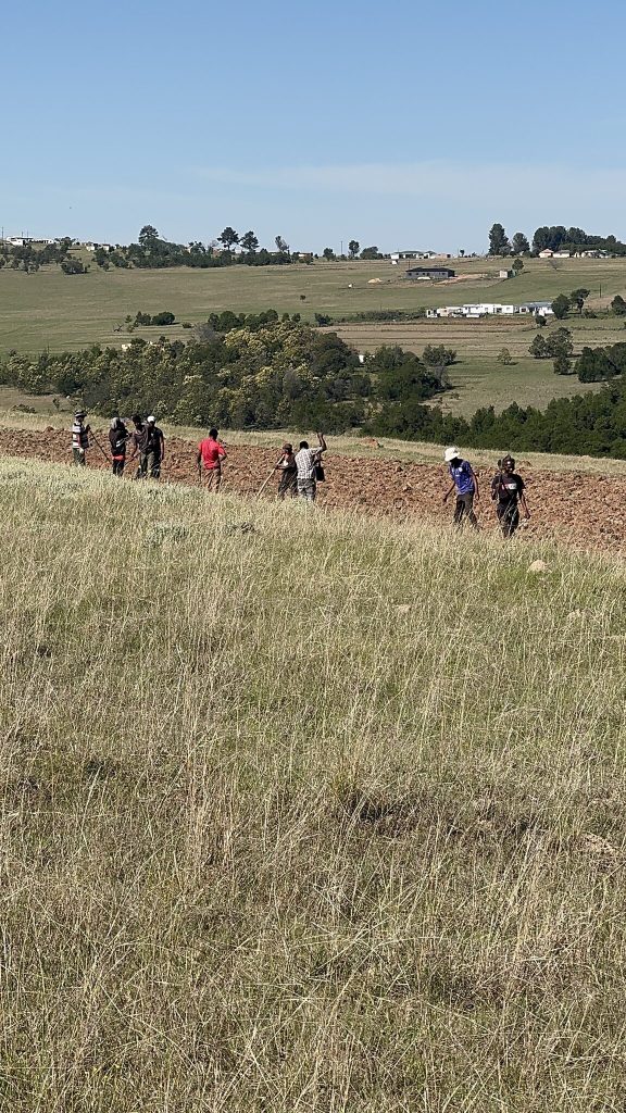 Local farm workers standing on ploughed soil at the edge of grassland in Mount Frere, Eastern Cape